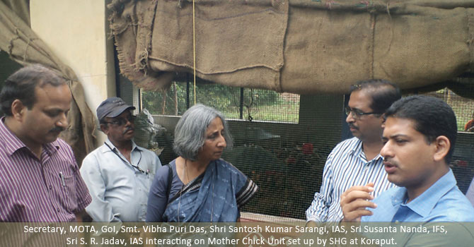 Secretary, MOTA, GoI, Smt. Viva Puri Das, Shri Santosh Kumar Sarangi, IAS, Shri Susanta Nanda, IFS, Shri S.R.Jadav, IAS interacting on Mother Chick Unit set up by SHG at Koraput.